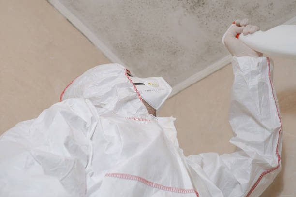 Best Emergency Mold Removal  in Bowdon, GA