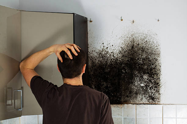 Best Mold Removal Company Near Me  in Bowdon, GA